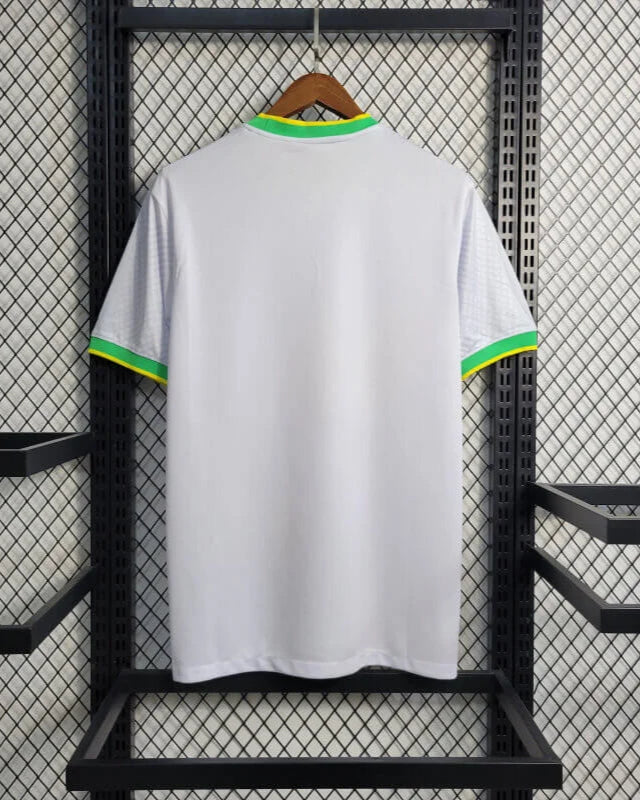 Maillot Brésil Concept